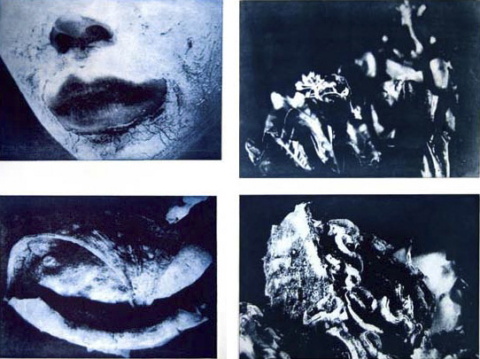 'Skin I' & 'Skin II'. Photopolymer
